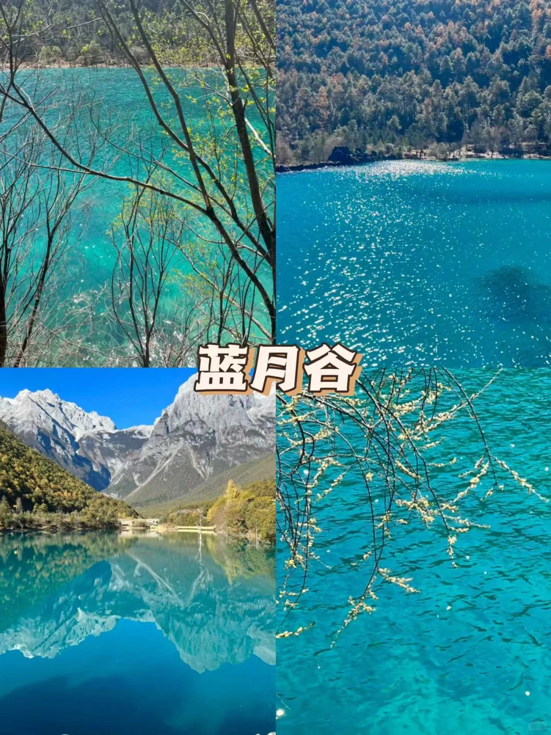 快来云南🔥六天花了1080💰包吃住行门票