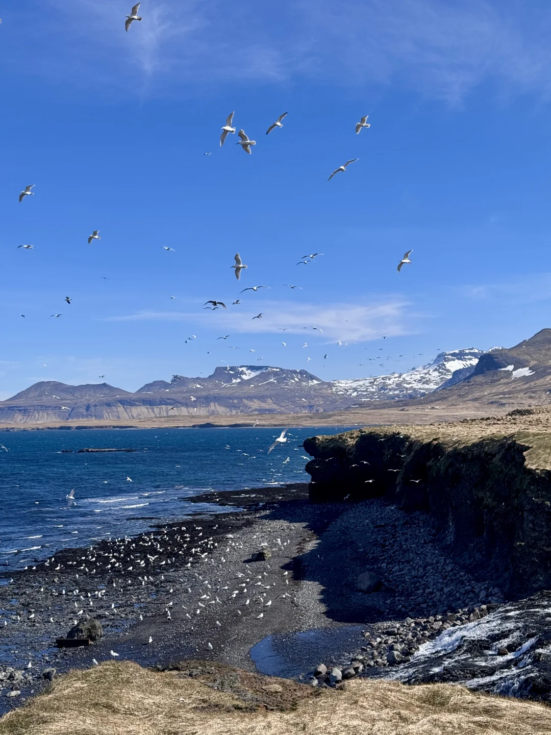 你可能不认识我，但也许看过我拍的live冰岛