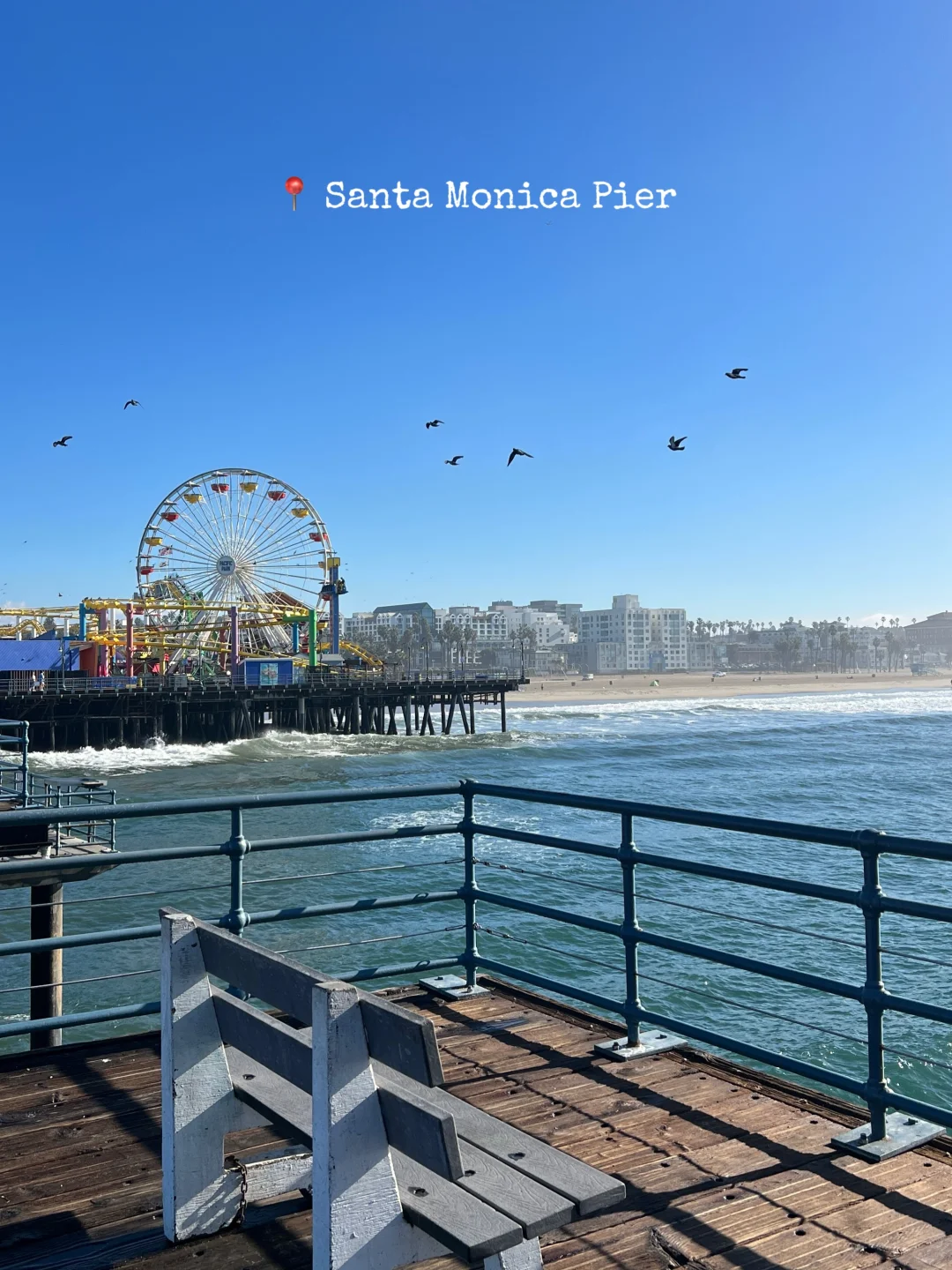 🇺🇸一天逛完LA著名景点｜无车+便捷玩法🎢