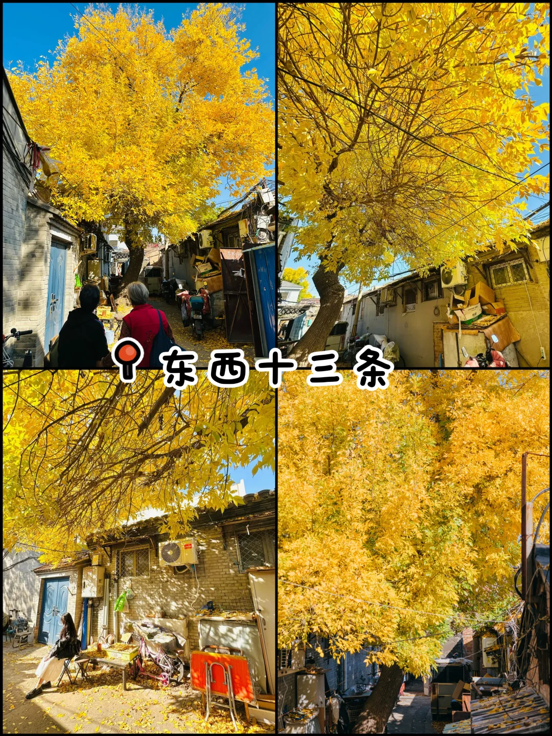 官宣❗️北京赏秋前三city walk路线出炉‼️