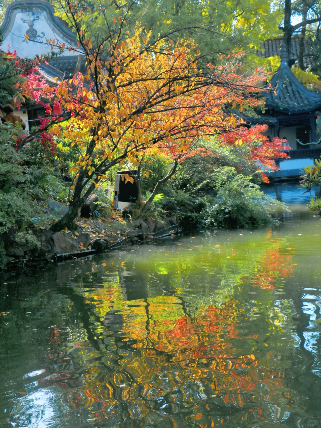 比起春熙路，我更推荐成都这些不花钱的快乐