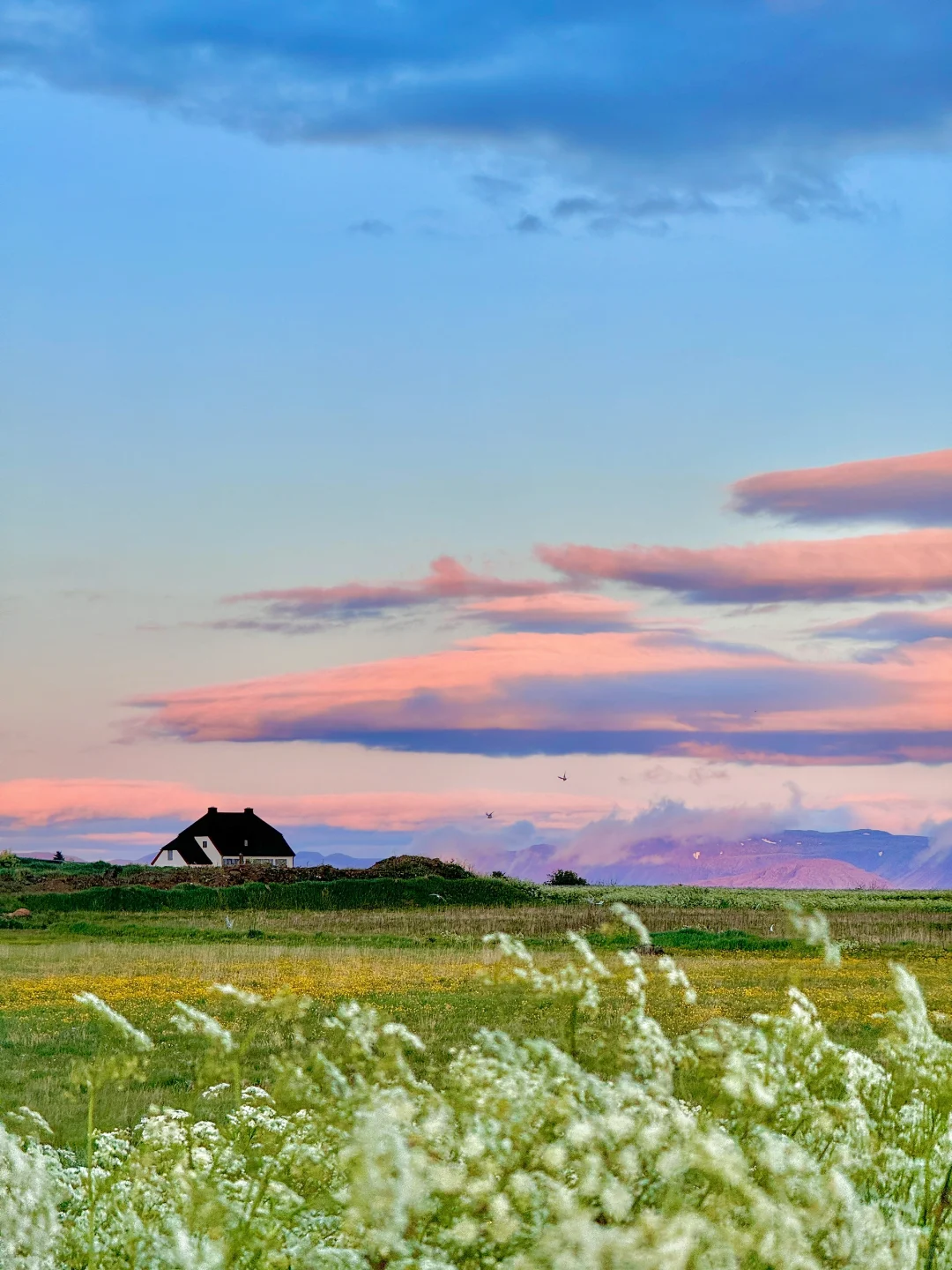 你可能不认识我，但也许看过我拍的live冰岛