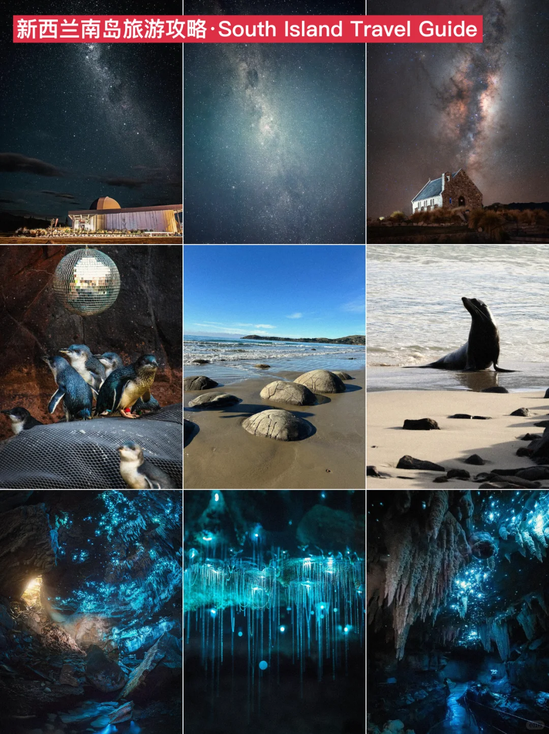 紫人做的新西兰旅游攻略❗️环南岛一篇通关