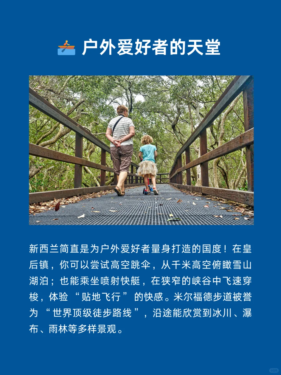 每天认识一个国家 | 新西兰🇳🇿