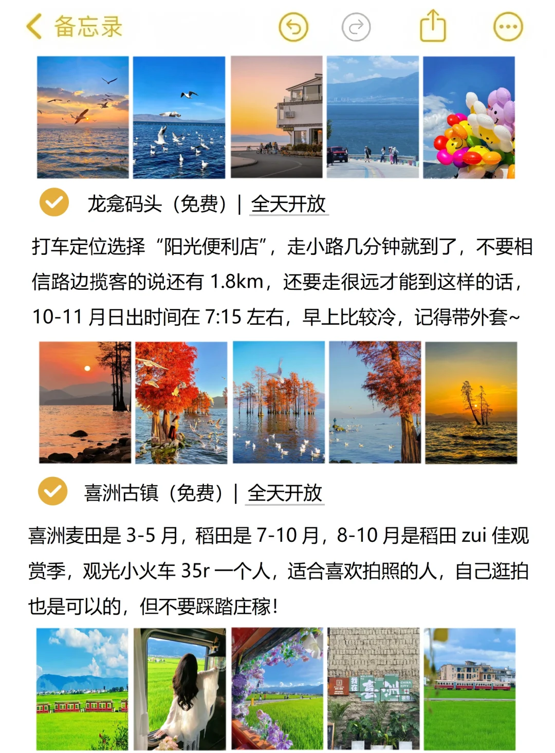 本人对自己做的云南旅游攻略满意到睡不着。