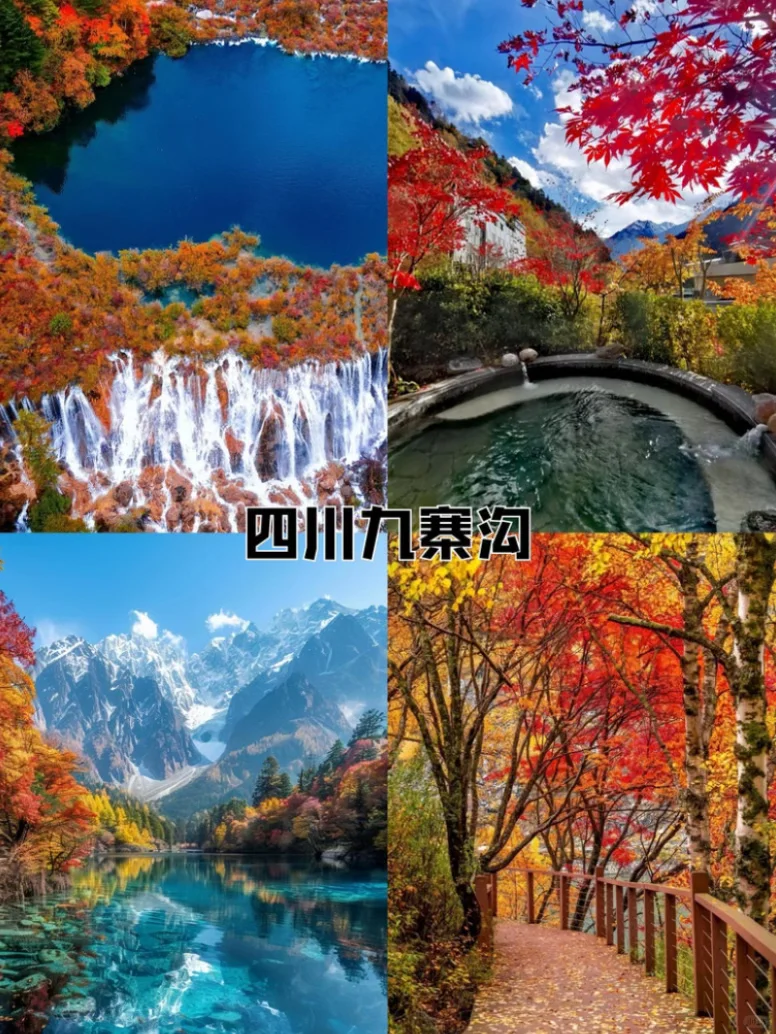 国家地理认证！9 - 11月国内5大赏秋天花版