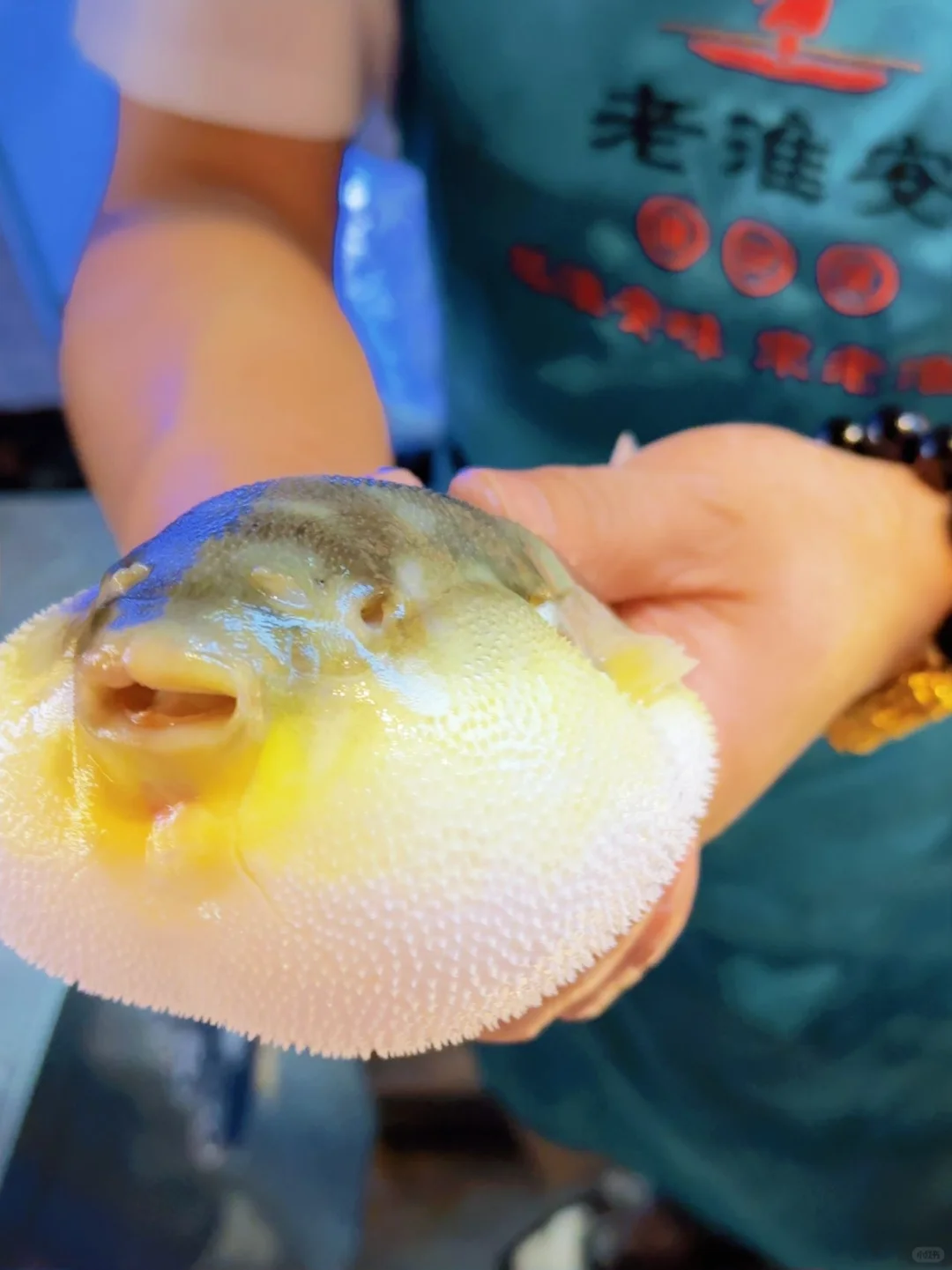 南京旅游攻略｜这家店让外地游客直接奔现！