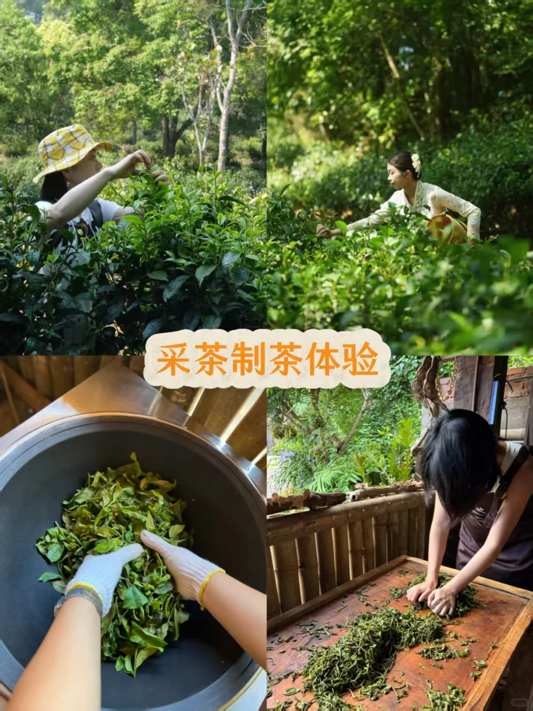 普洱旅游必打卡景点！小众又好玩❗️