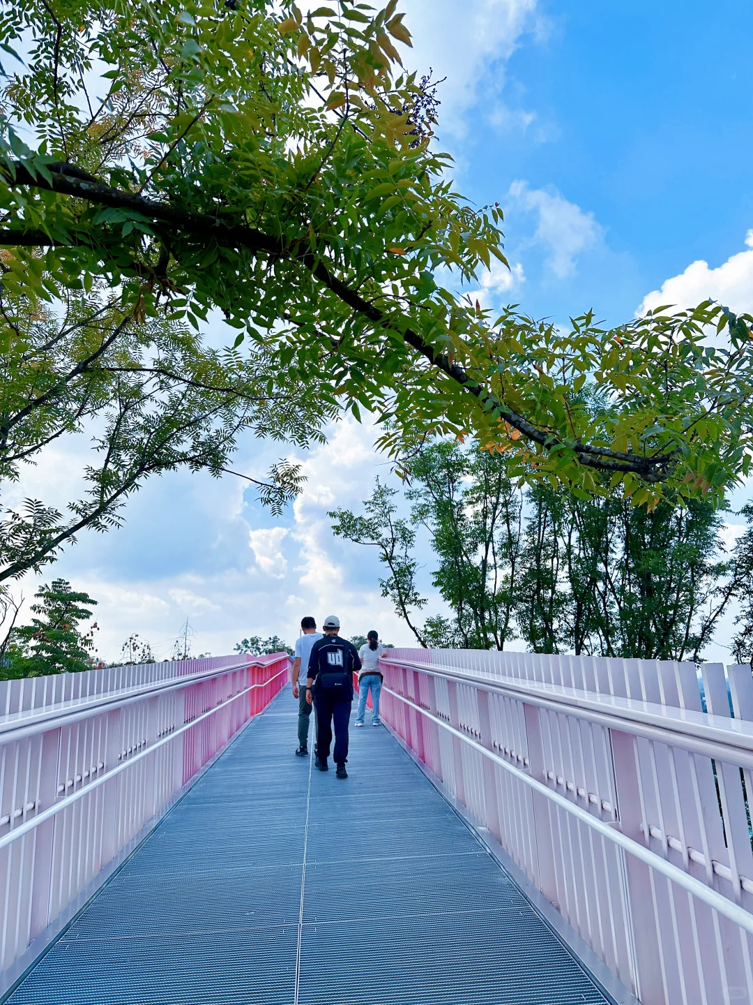 公交直达！成都惟一！免费绝美的空中徒步路线