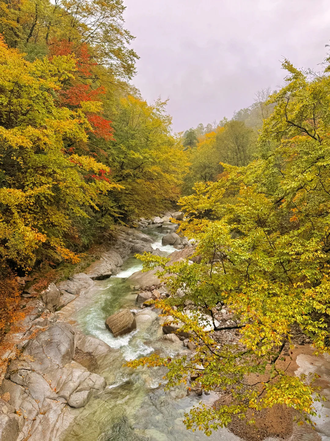 10.20实拍！！！今天的光雾山真的杀疯了！！！！