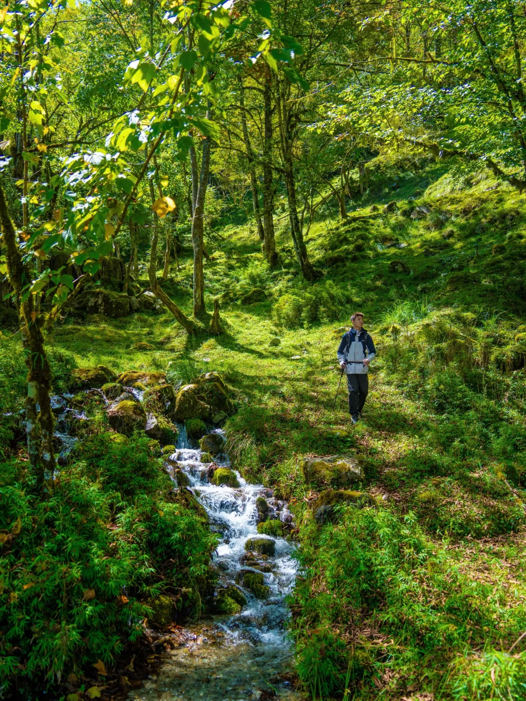 国庆反向旅游🍃成都出发3h抵达绿野仙踪