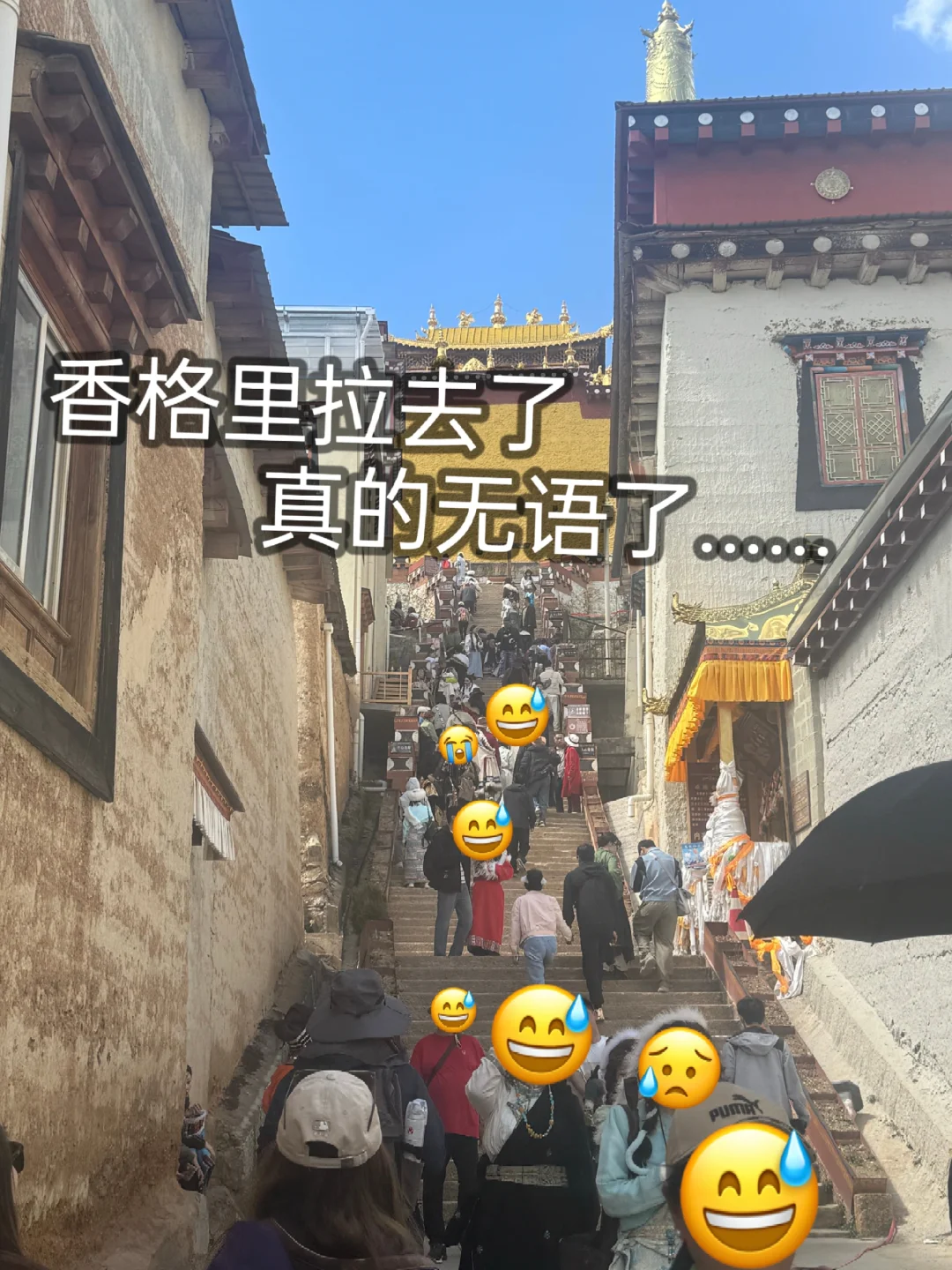 香格里拉旅游现状，xhs别把人当傻子