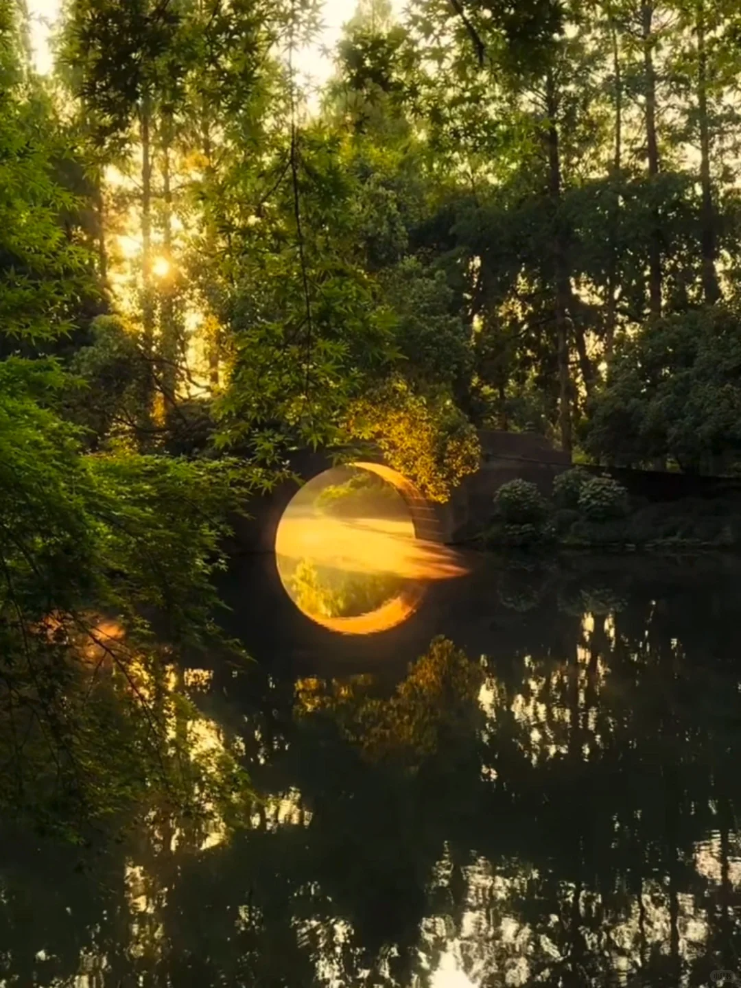 这一幕封神了 只恨我文笔平平