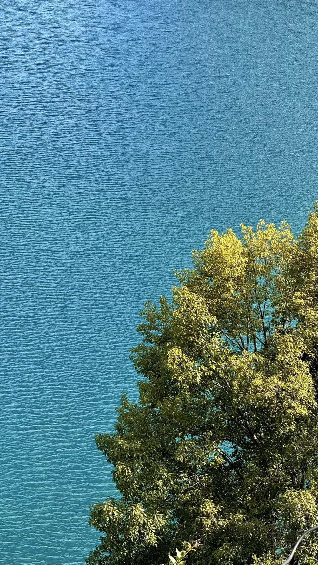 泸沽湖Live实况，值了值了！！！