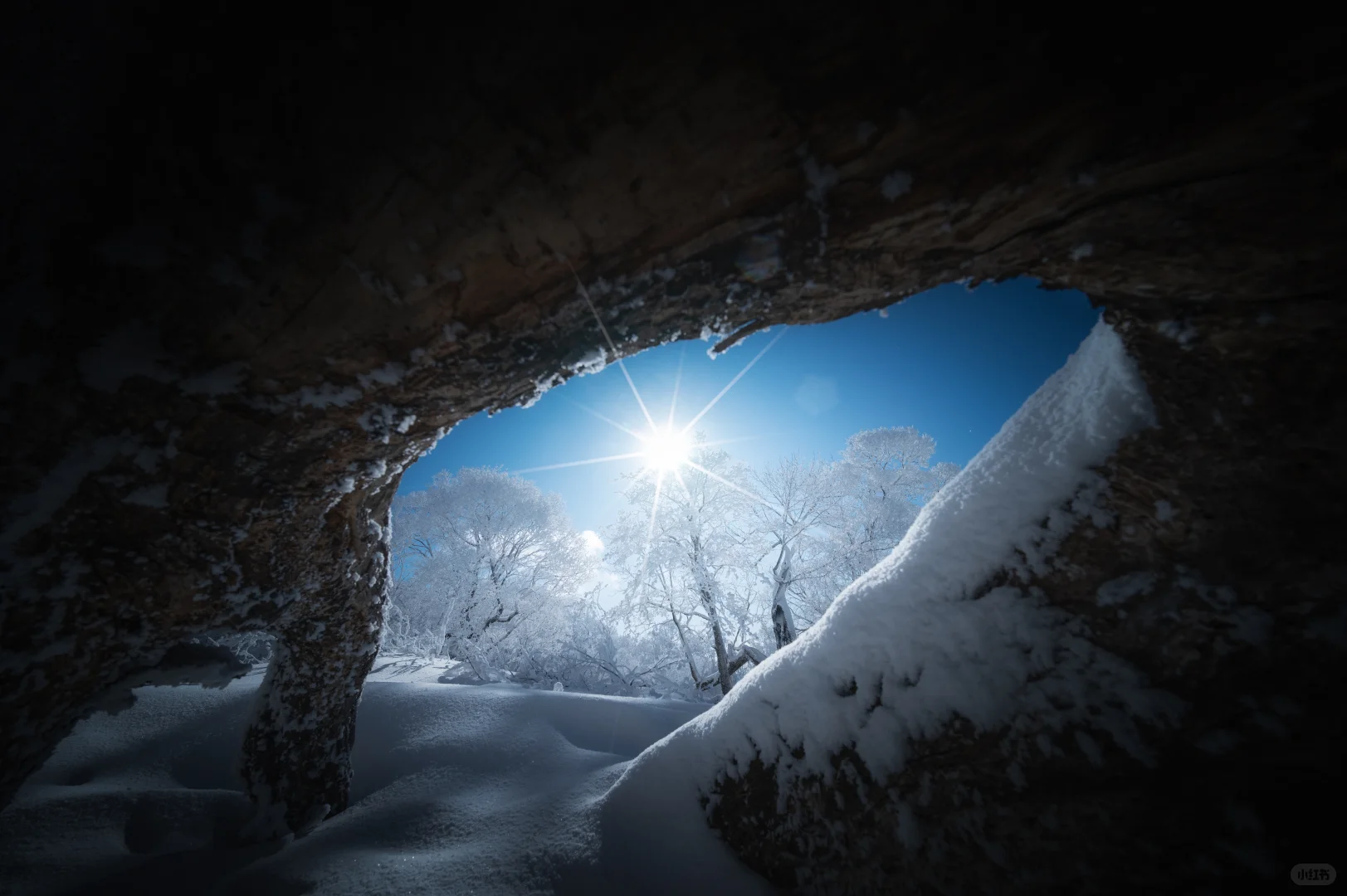 人这一辈子总要来吉林看一次雾凇吧❄