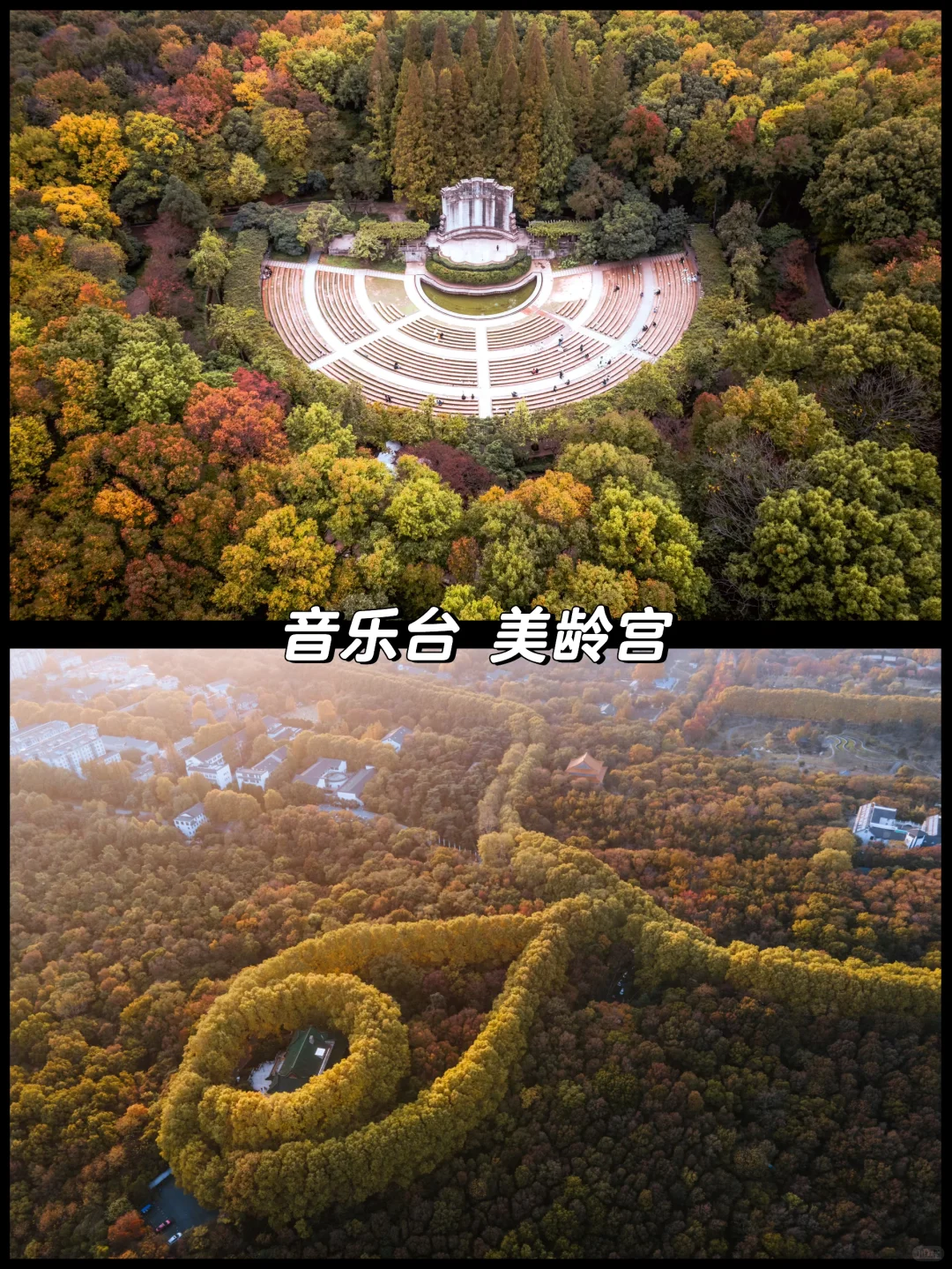 南京的秋天很绝，收好这15个机位拍到手软