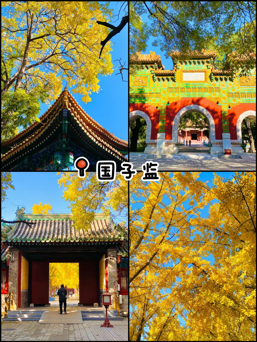 官宣❗️北京赏秋前三city walk路线出炉‼️