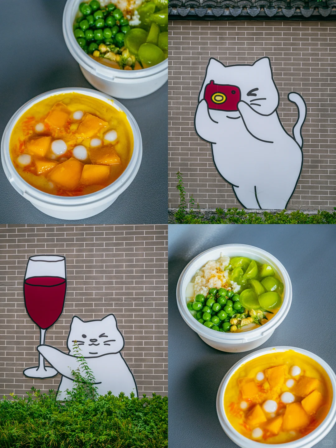 苏州1%的人才知道小众打卡地❗快抄作业❗