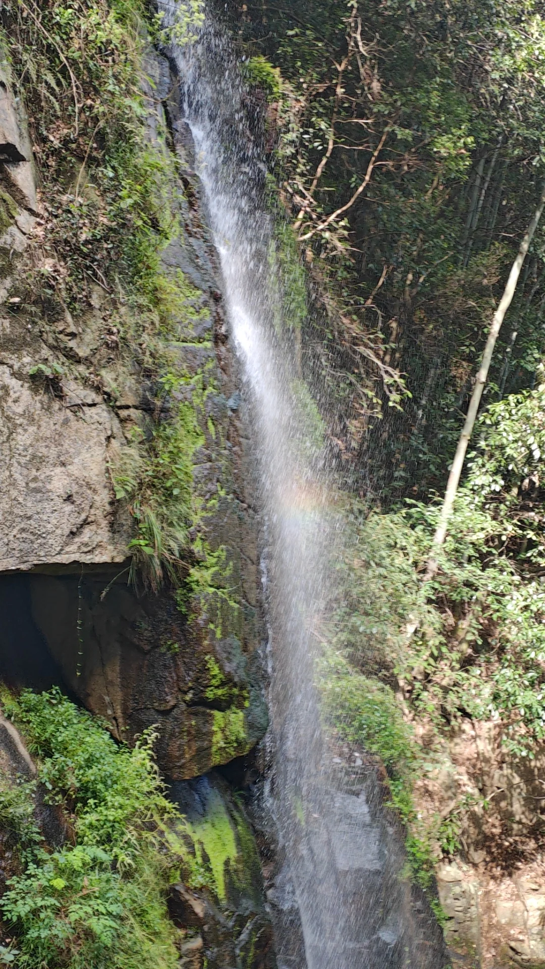 莫干山古道丨秋日满分选择