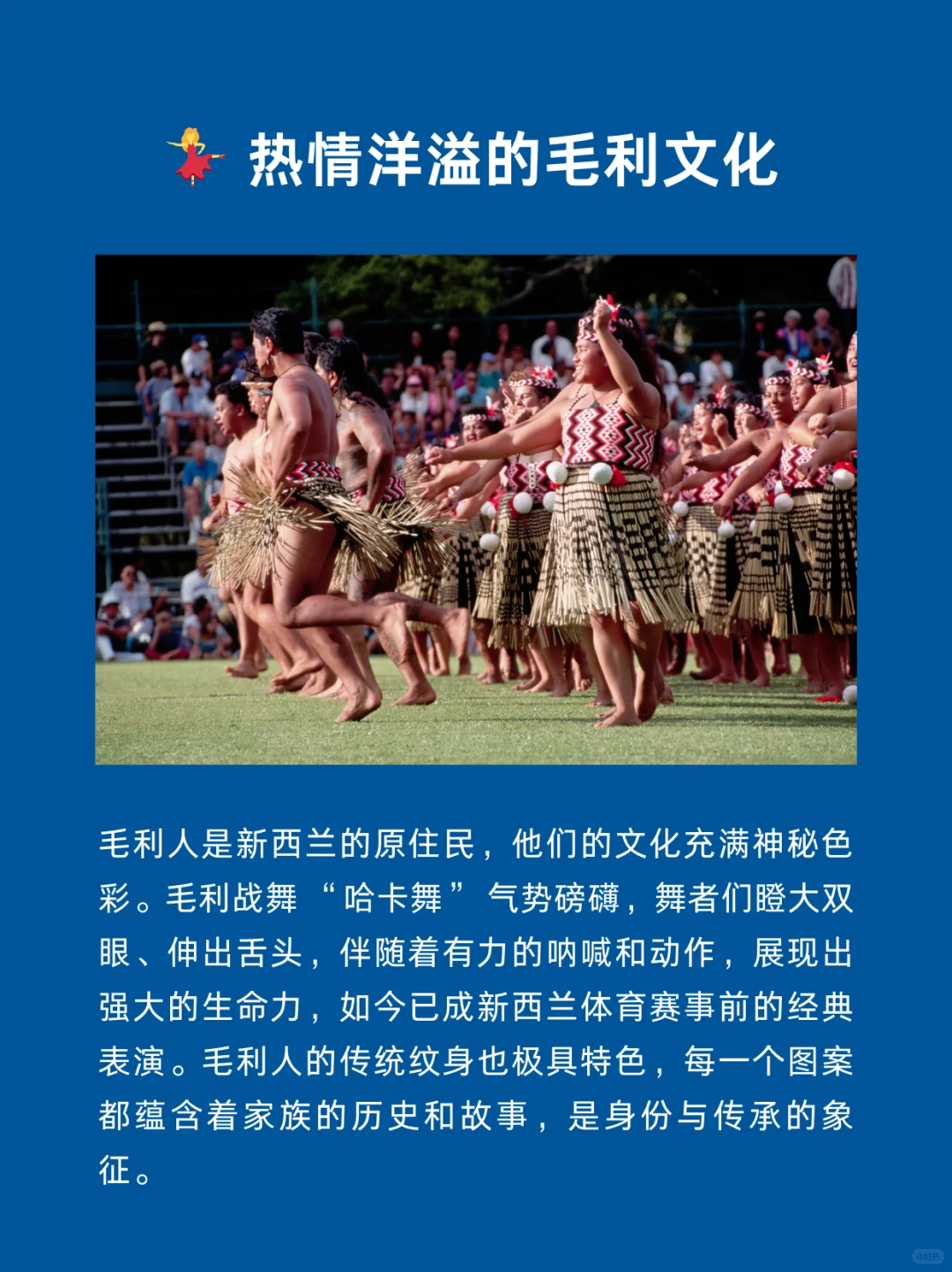 每天认识一个国家 | 新西兰🇳🇿