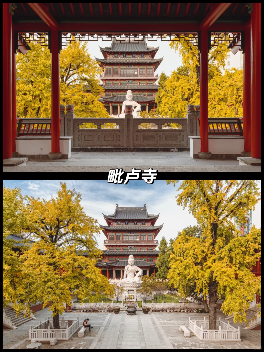 南京的秋天很绝，收好这15个机位拍到手软