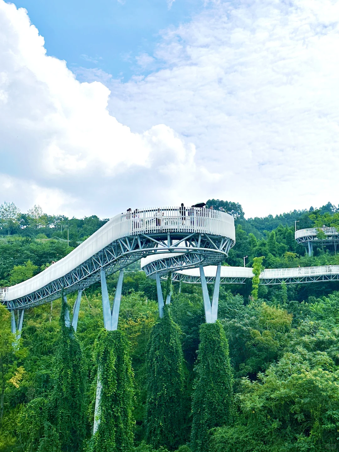 公交直达！成都惟一！免费绝美的空中徒步路线