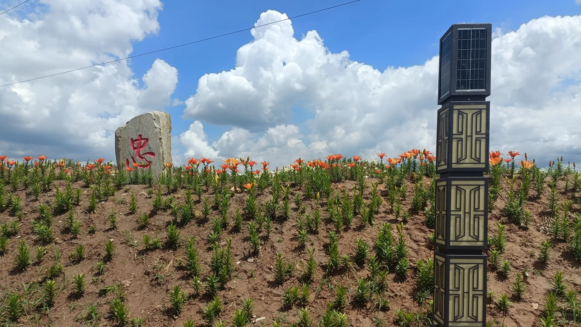 **《跟着小红书爆火！神木杨家城1日游攻略