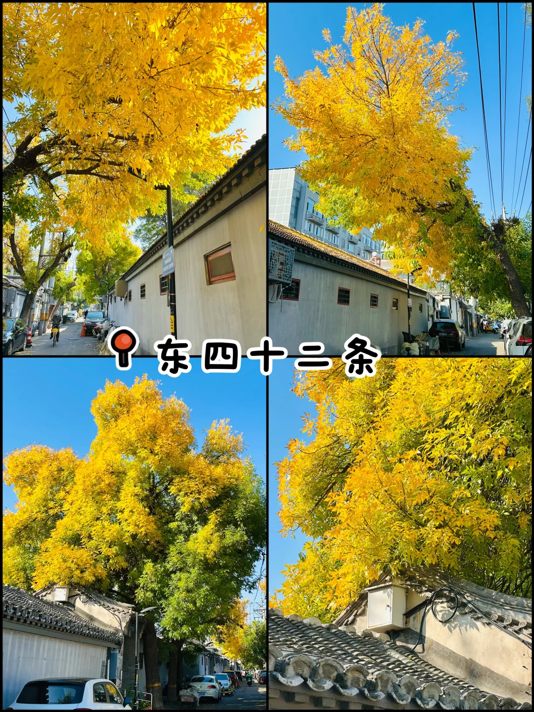 官宣❗️北京赏秋前三city walk路线出炉‼️