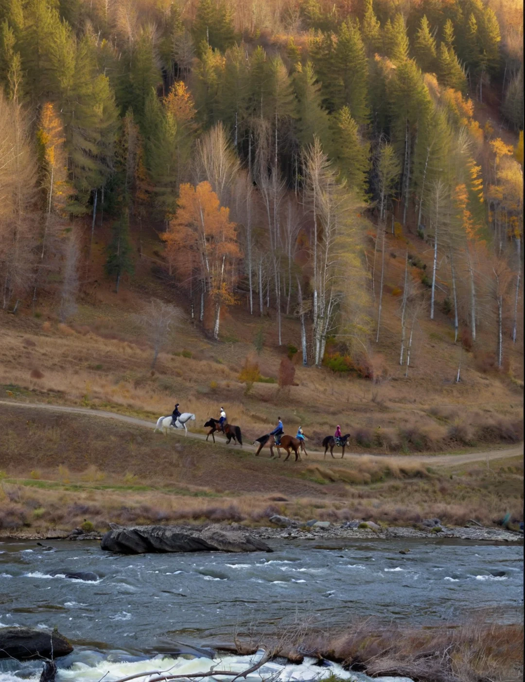 阿尔山推窗见不冻河！夜观银河太绝