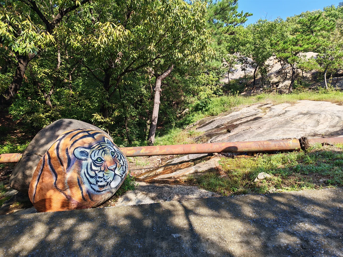 龟蒙山——蒙山之巅
