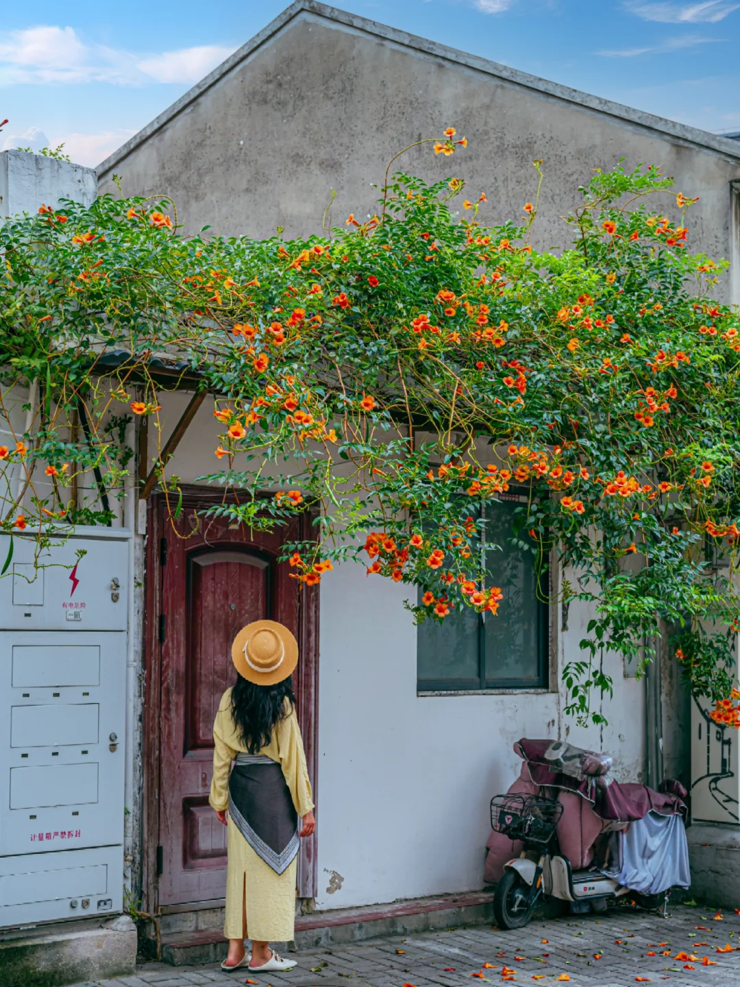 苏州1%的人才知道小众打卡地❗快抄作业❗