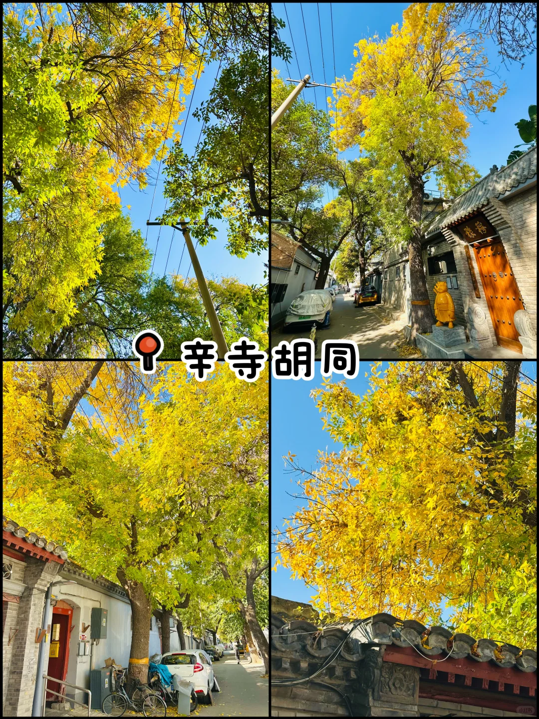 官宣❗️北京赏秋前三city walk路线出炉‼️