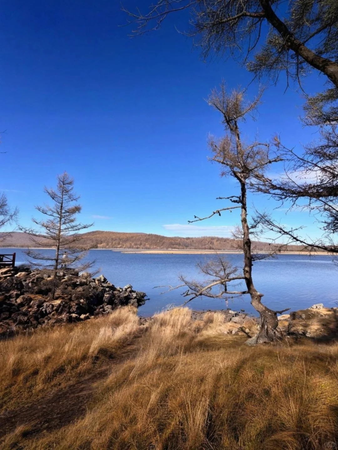 阿尔山推窗见不冻河!夜观银河太绝