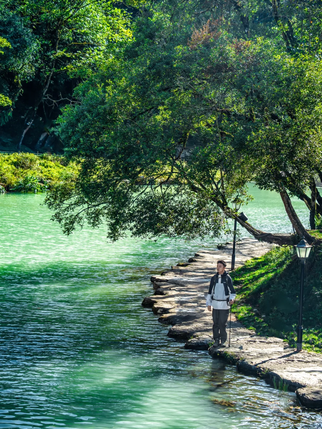 国庆反向旅游🍃成都出发3h抵达绿野仙踪