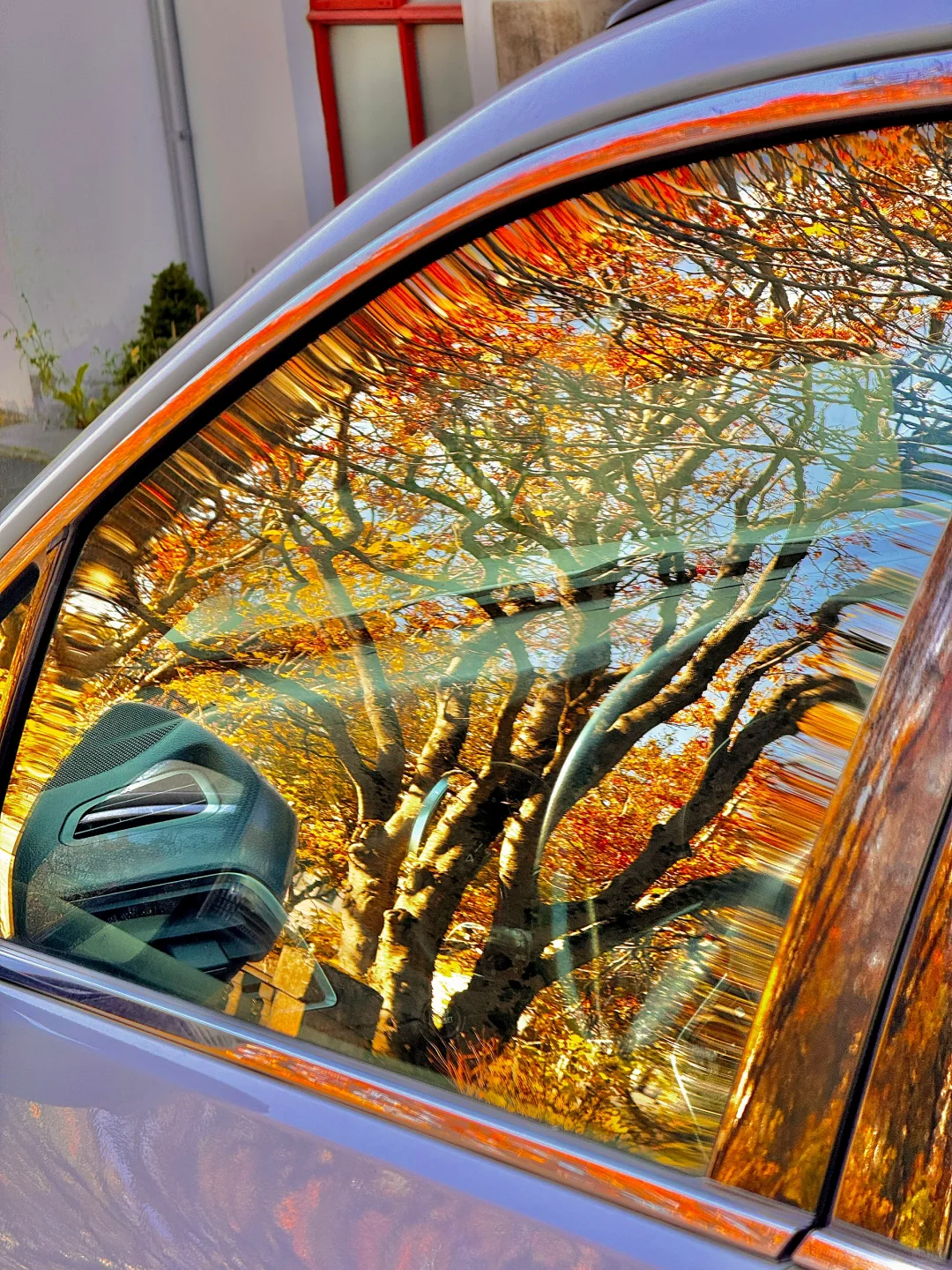 你可能不认识我，但也许看过我拍的live冰岛