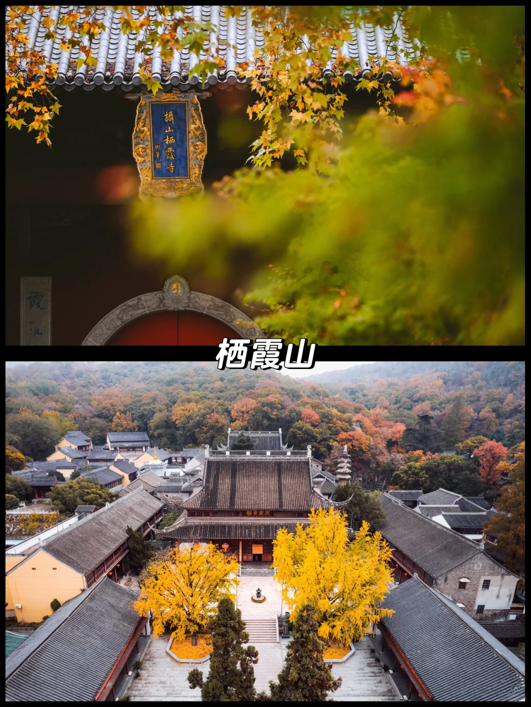 南京的秋天很绝，收好这15个机位拍到手软