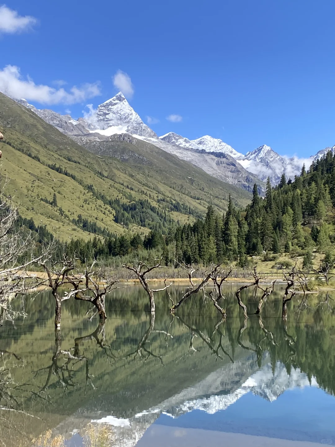 已回📝广东到九寨沟四姑娘山攻略纯分享
