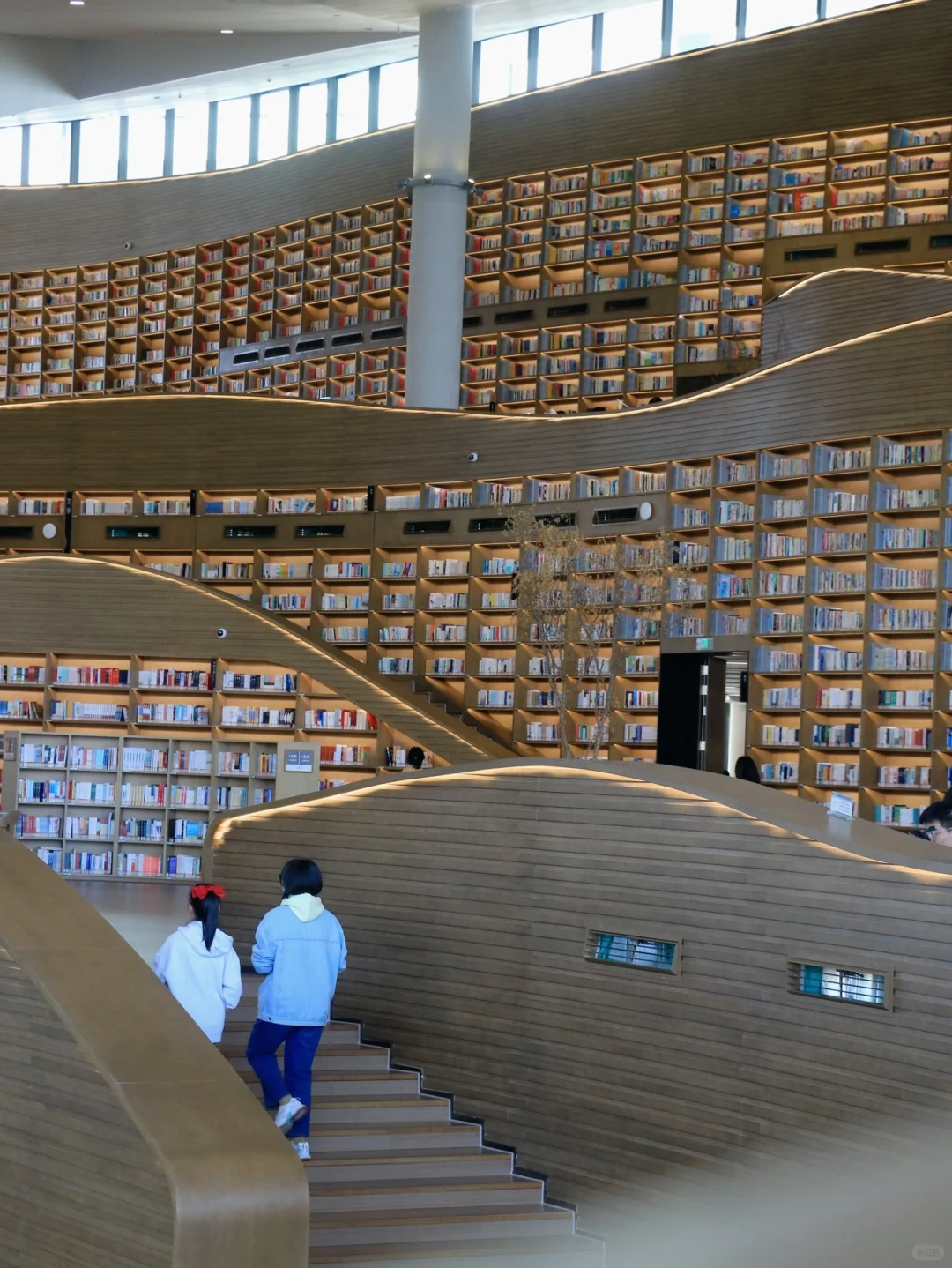 比起春熙路，我更推荐成都这些不花钱的快乐