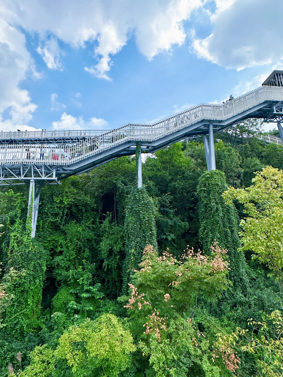 公交直达！成都惟一！免费绝美的空中徒步路线
