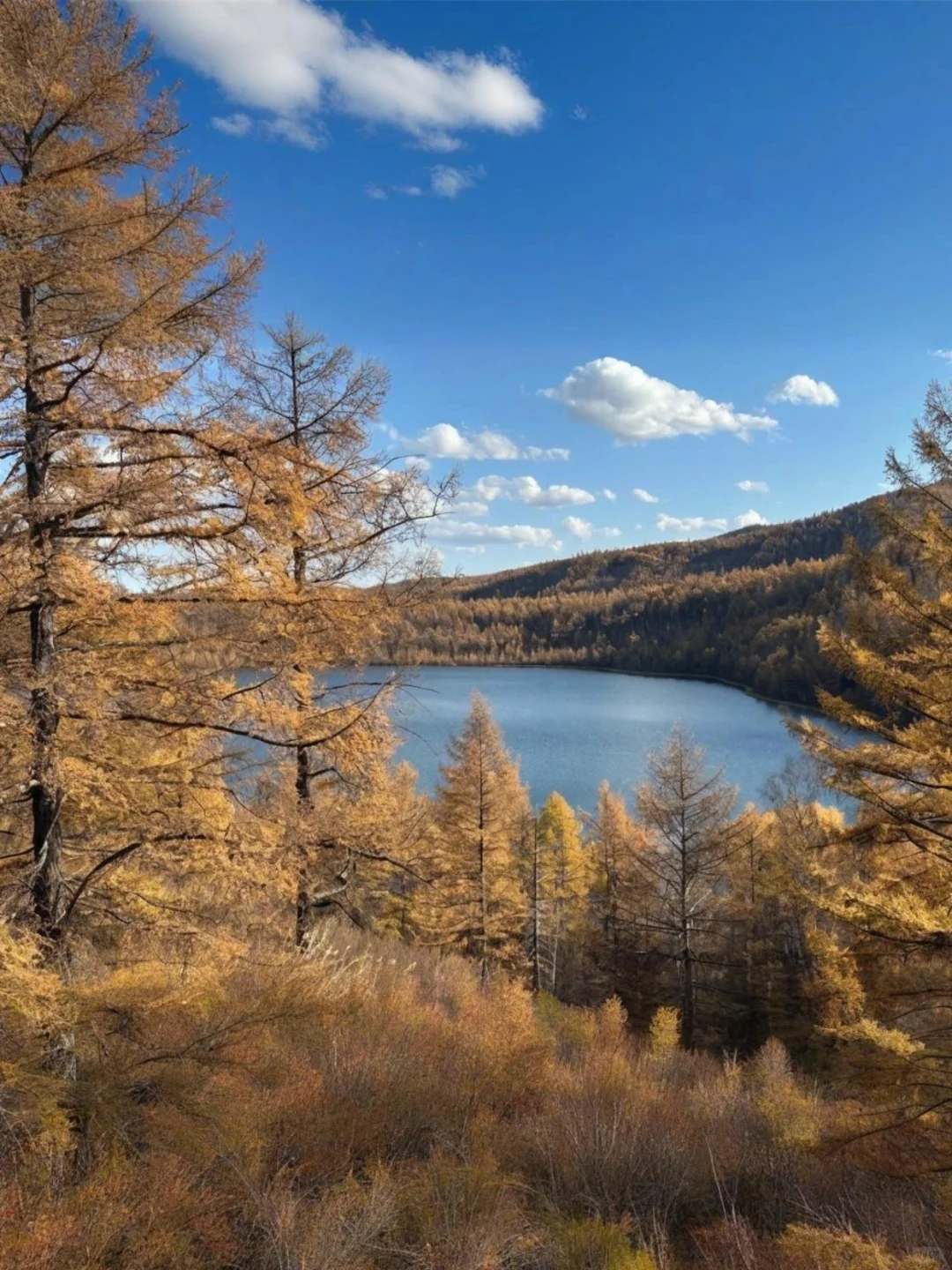 阿尔山推窗见不冻河！夜观银河太绝