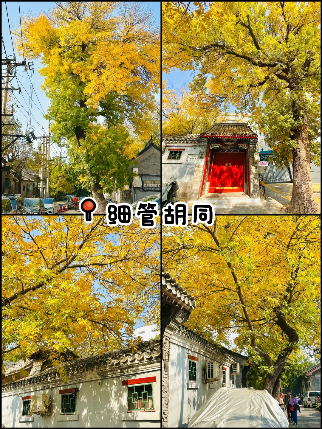 官宣❗️北京赏秋前三city walk路线出炉‼️