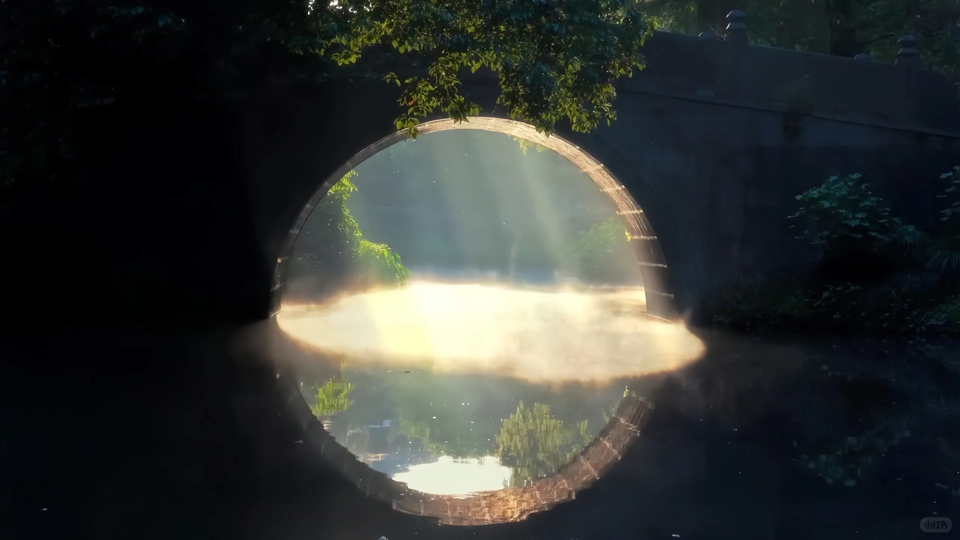 这一幕封神了 只恨我文笔平平