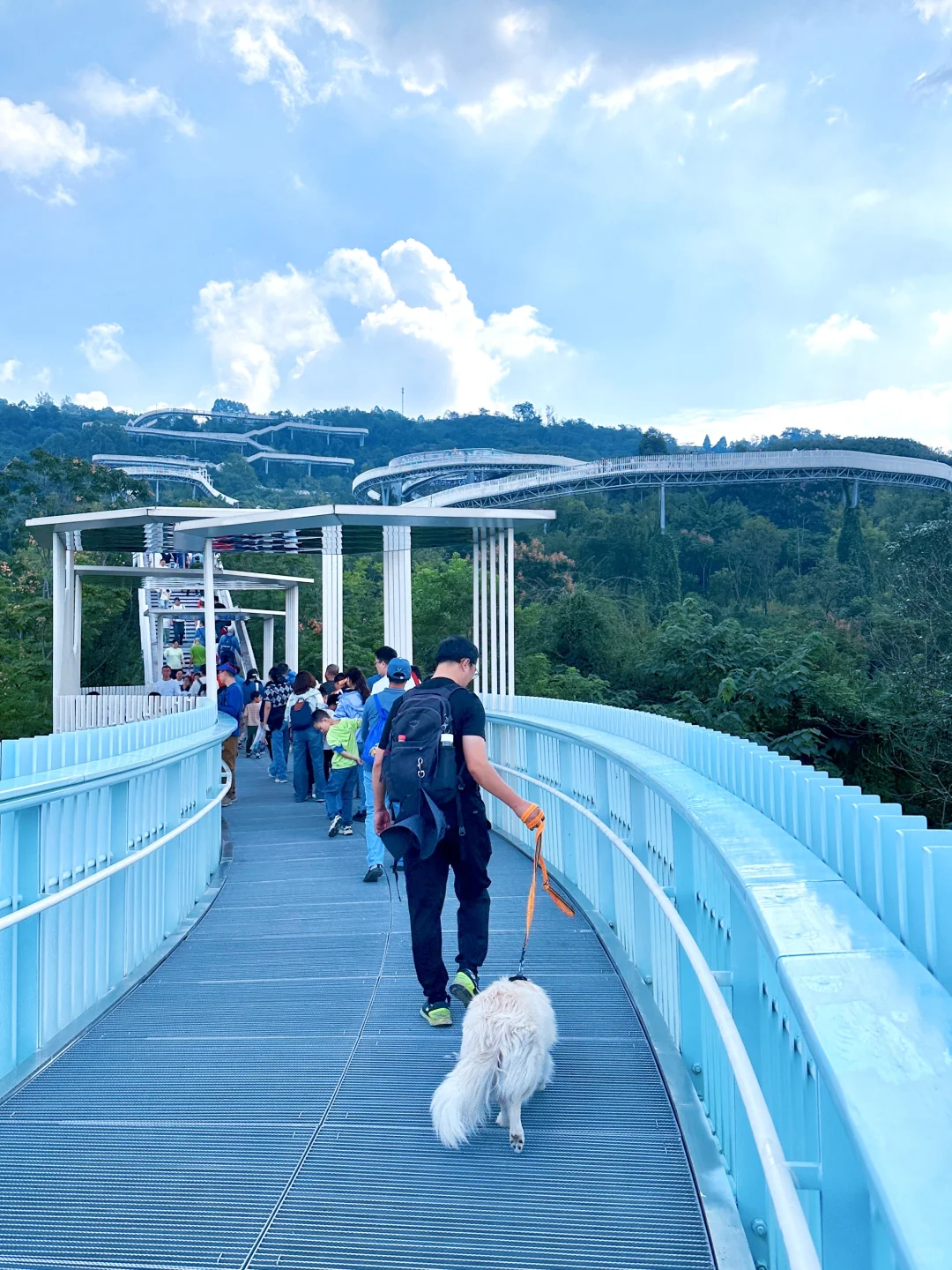 公交直达！成都惟一！免费绝美的空中徒步路线