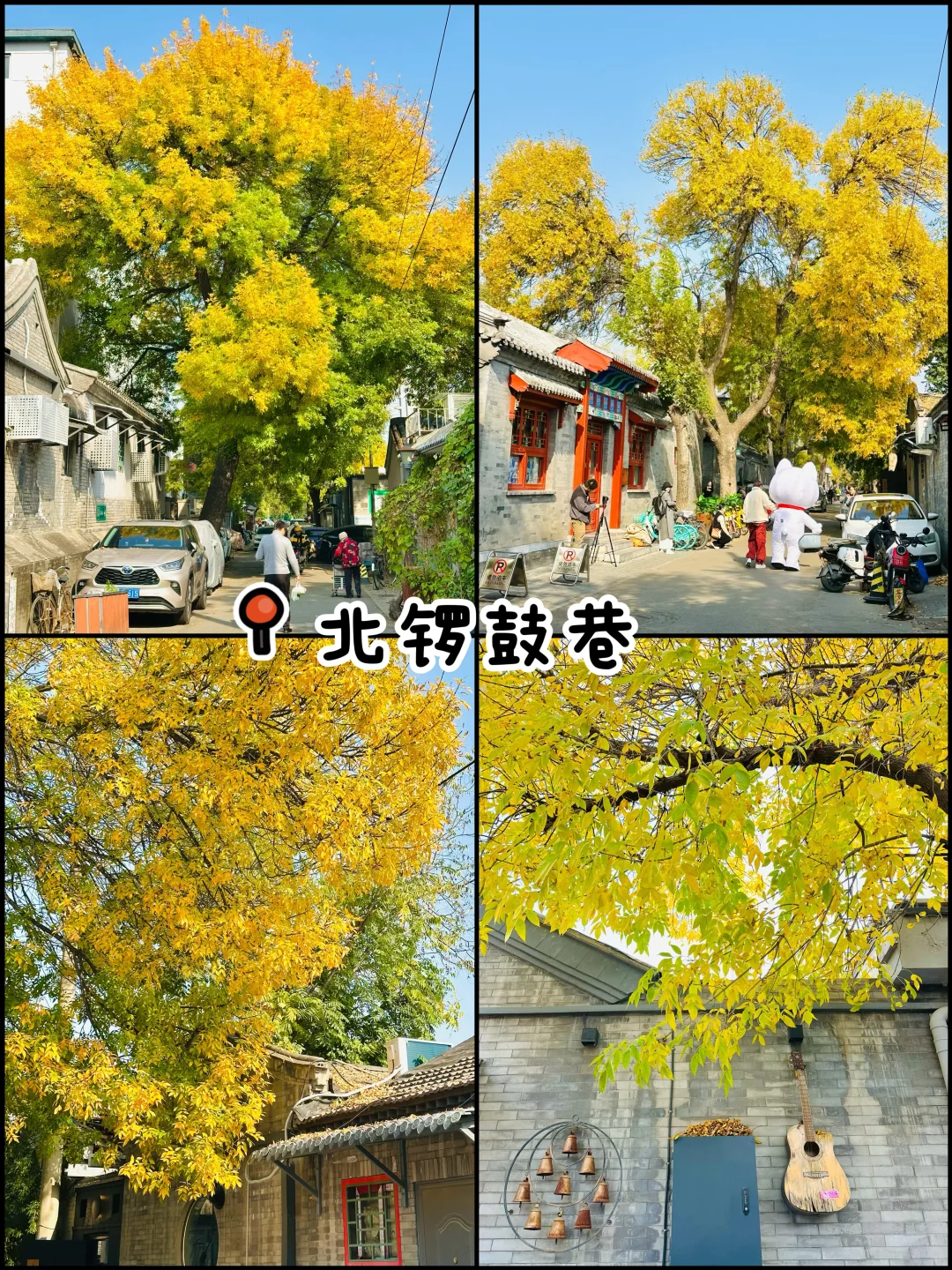官宣❗️北京赏秋前三city walk路线出炉‼️