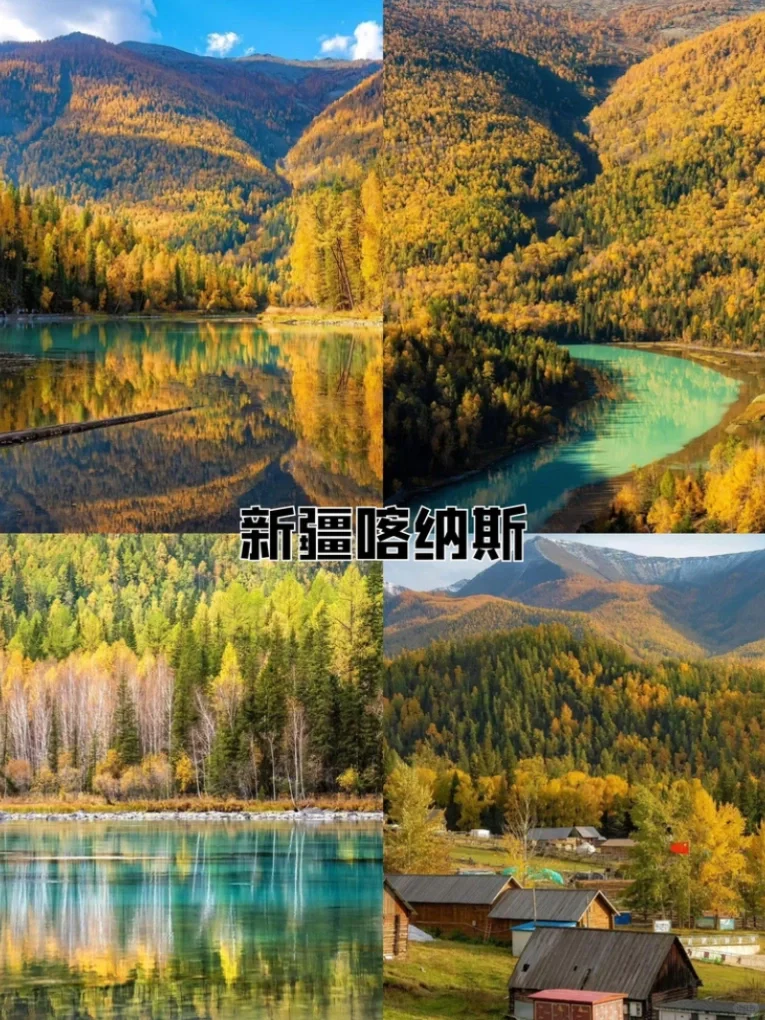 国家地理认证！9 - 11月国内5大赏秋天花版