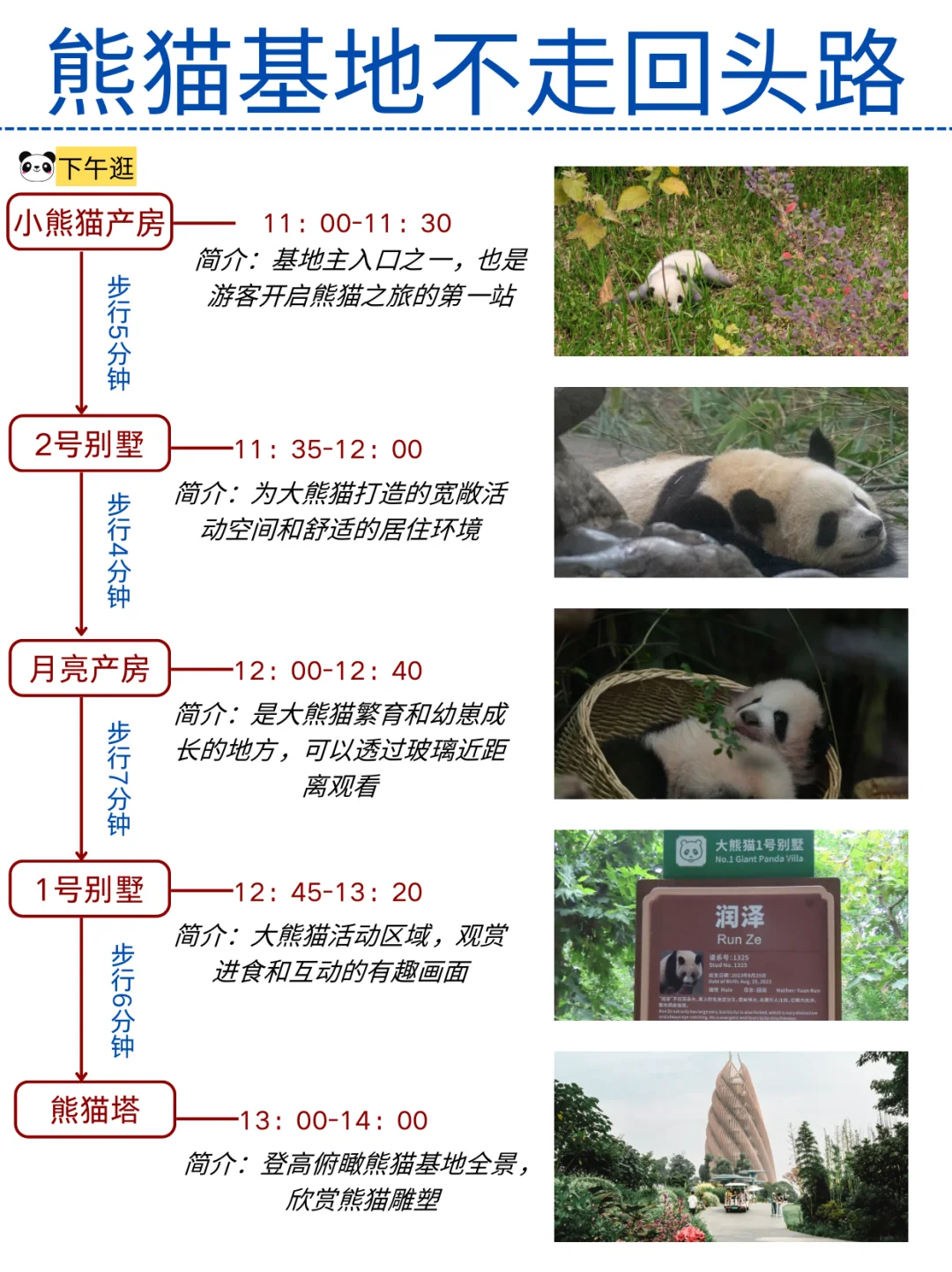 熊猫基地一日游本地土著带路不走回头路！！