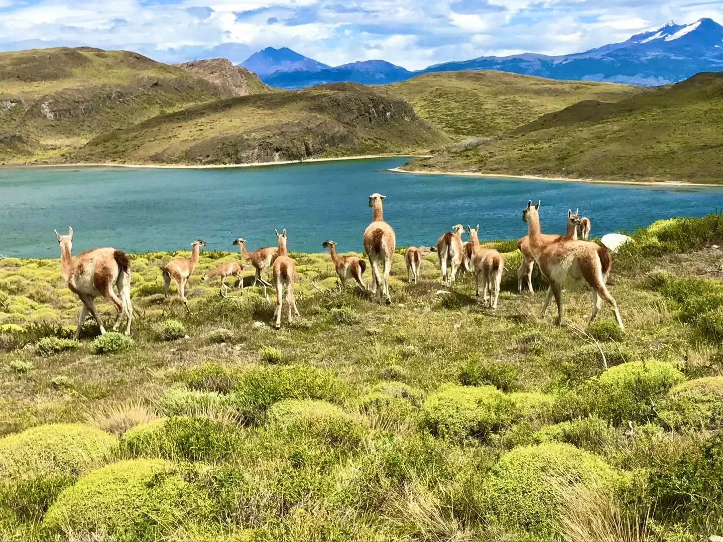 去完90+国后 我推荐的十八个景点（不分先后）