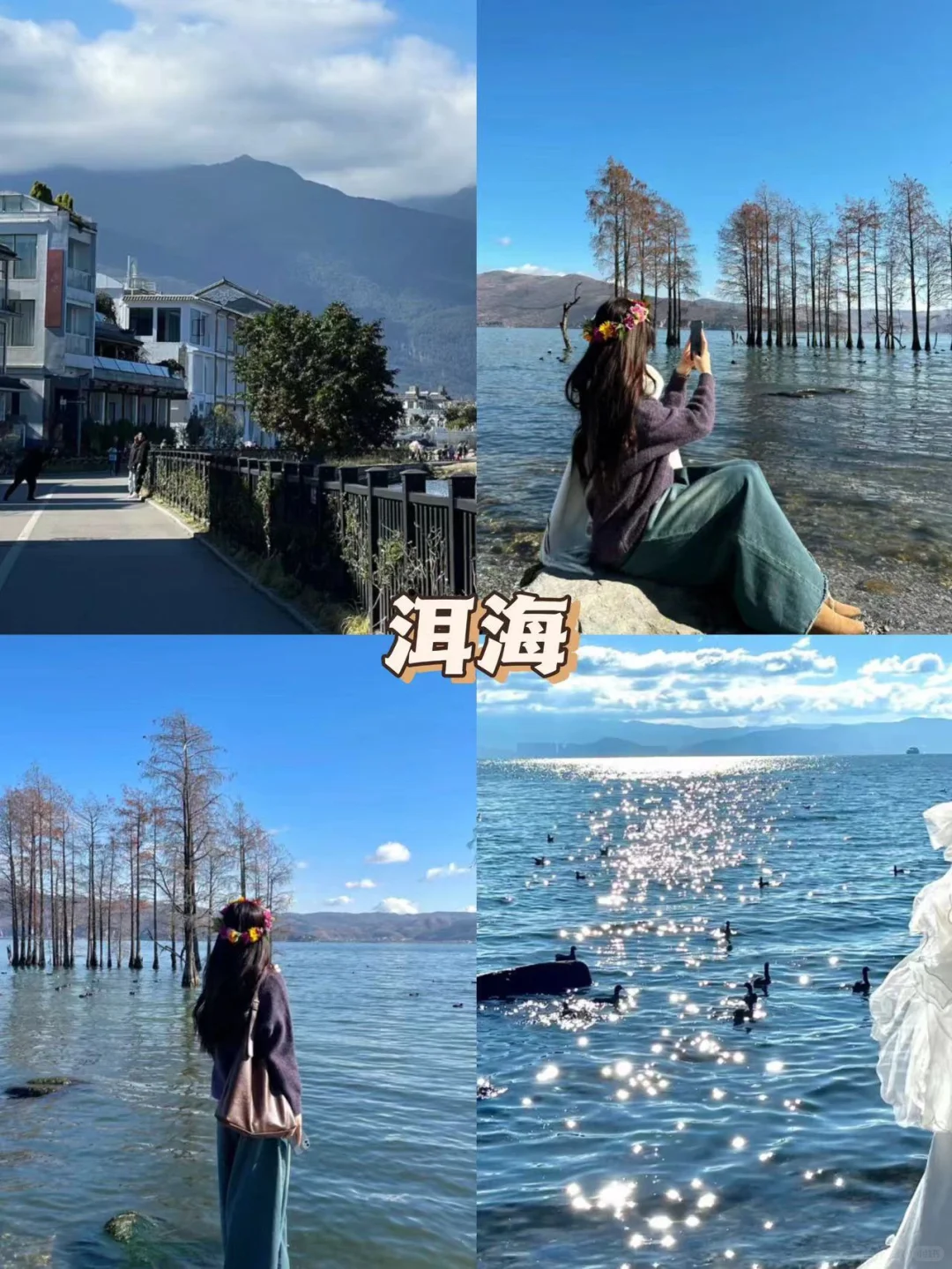 快来云南🔥六天花了1080💰包吃住行门票