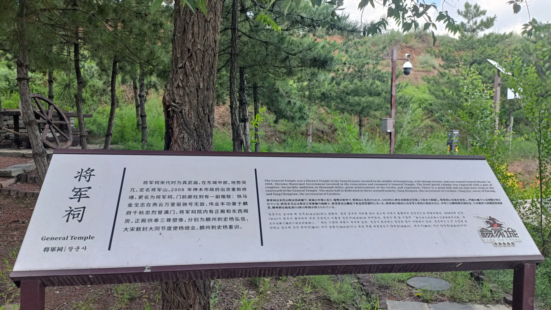 **《跟着小红书爆火！神木杨家城1日游攻略