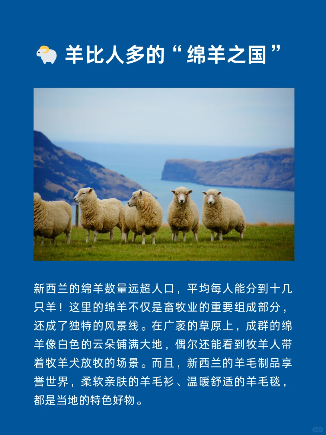 每天认识一个国家 | 新西兰🇳🇿